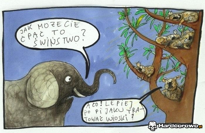 Jak możecie - 1