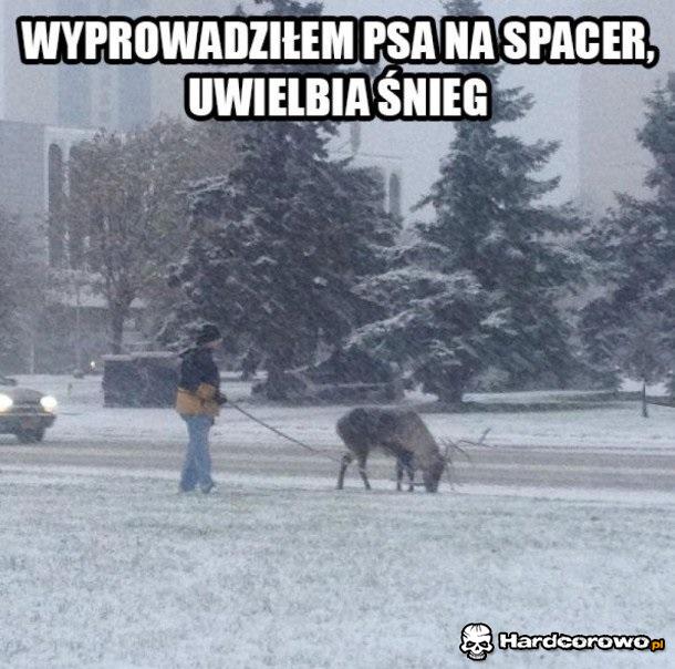 Uwielbia śnieg - 1