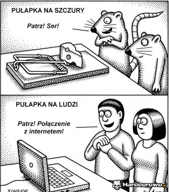 Pułapki - 1