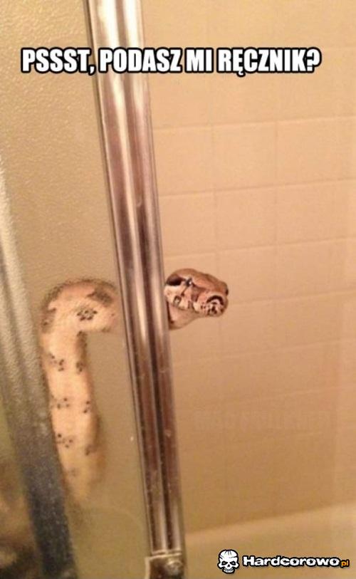 Wąż w łazience  - 1