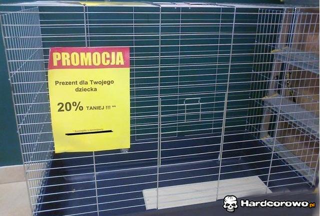 Promocja - 1