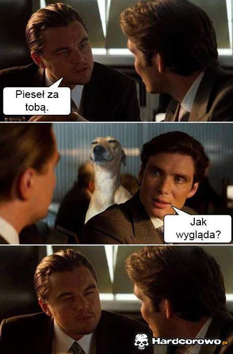 Zjarał się - 1