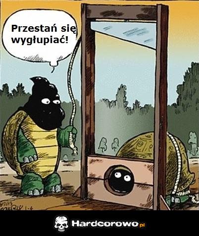 Żółw dowcipniś  - 1