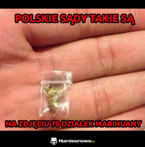 Polskie sądy - 1