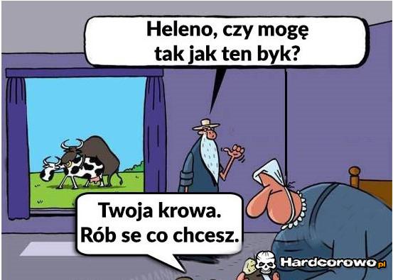 Tak jak byk - 1