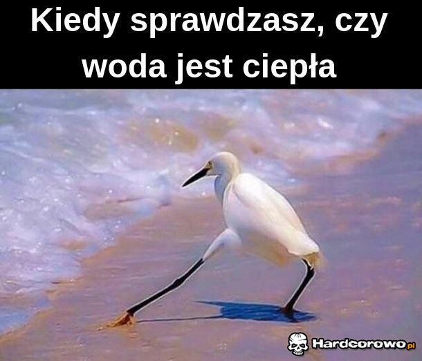 Woda - 1