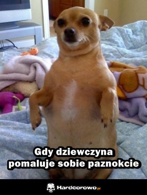 Tak wygląda - 1