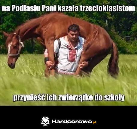 Zwierzak - 1