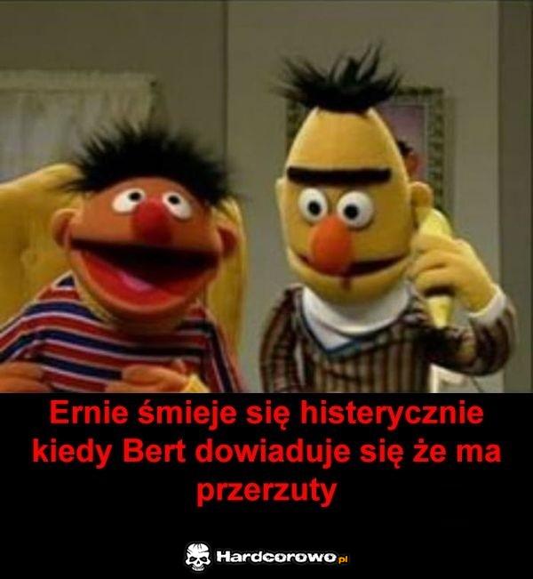 Ernie - 1