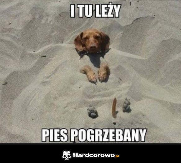 Znaleziony - 1