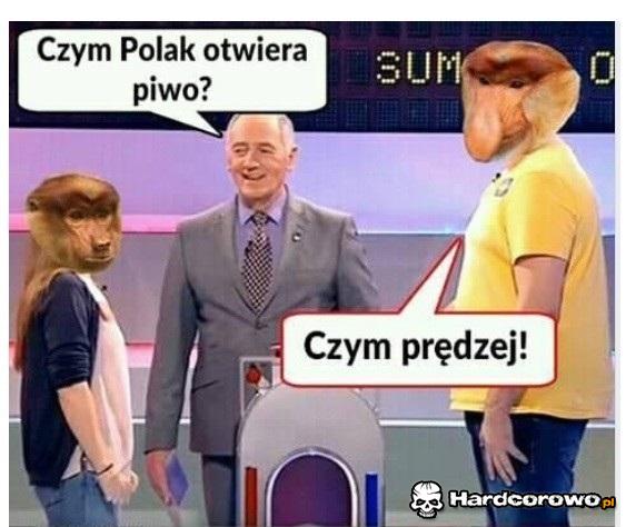 Janusz zna odpowiedź! - 1