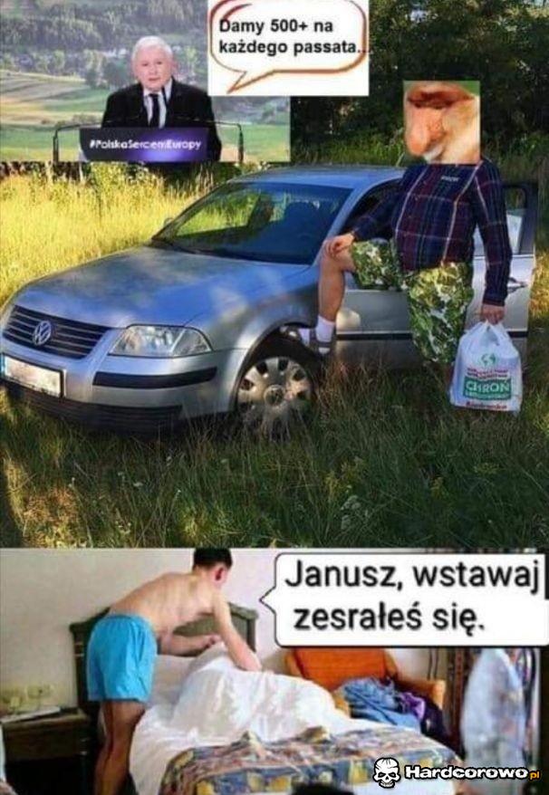 Janusz, wstawaj - 1