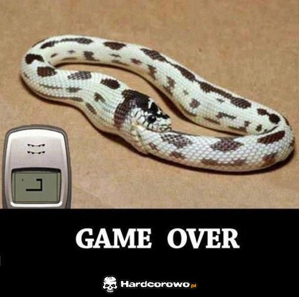 Koniec gry dla węża - 1