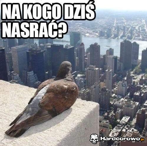 Na kogo dziś nasrać? - 1