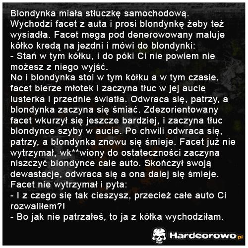 Blondynka miała stłuczkę samochodową - 1