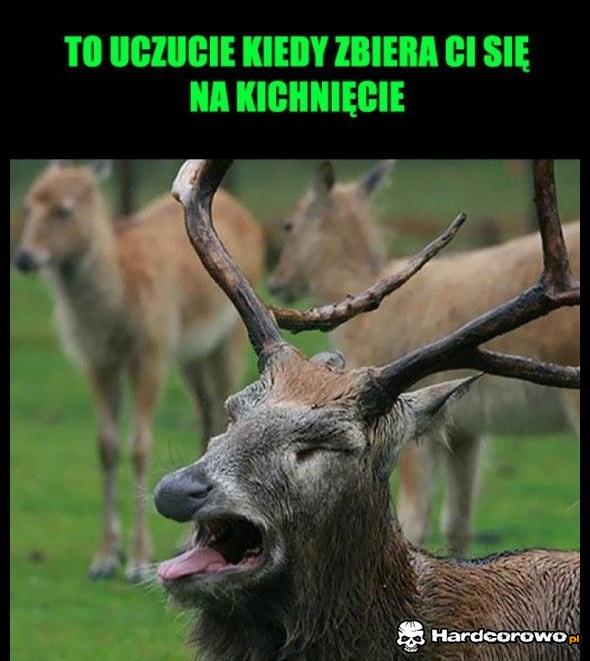 To uczucie - 1