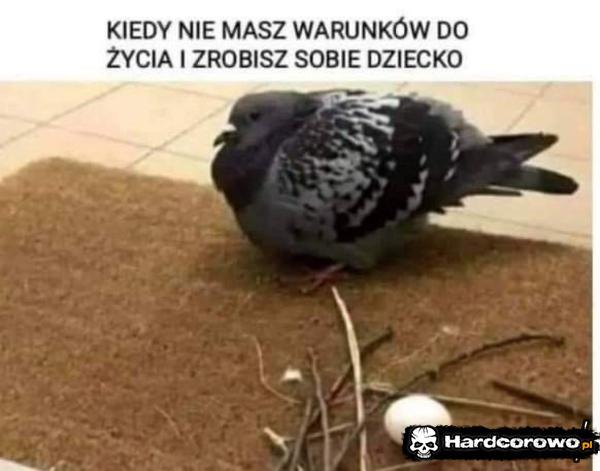  - 1