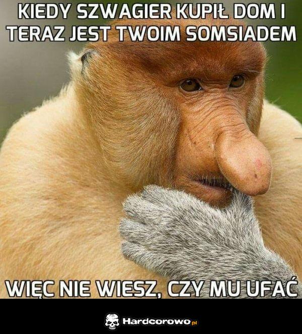 Szwagier sąsiad - 1
